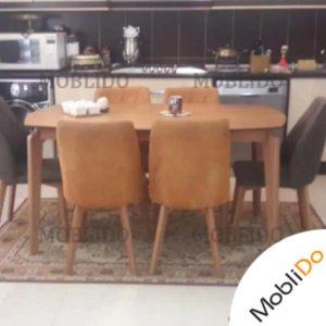 ناهار خوری زیبا