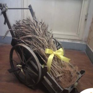 گالری دکوری بسیار زیبا